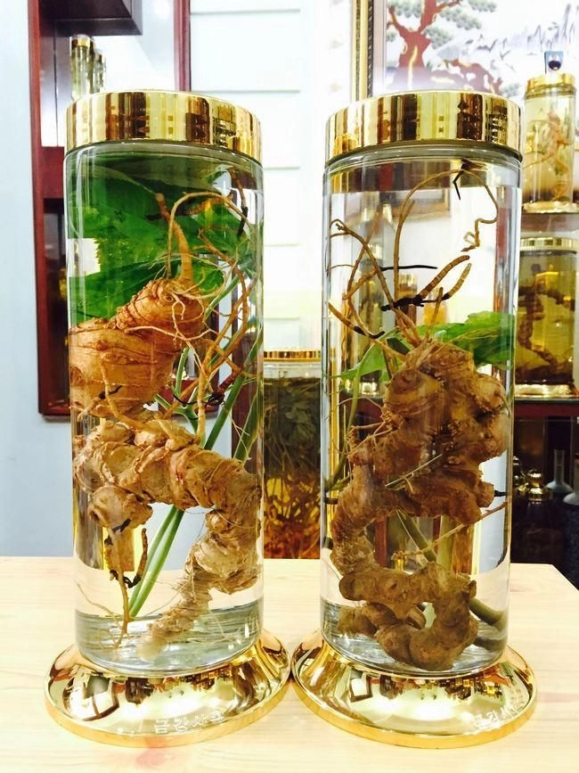 Rượu Sâm Ngọc Linh Chất Lượng TPHCM