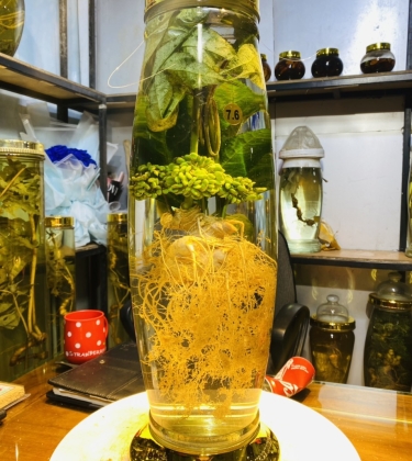 Rượu Sâm Nghệ Thuật 