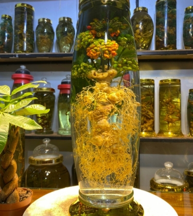 Rượu Sâm Nghệ Thuật